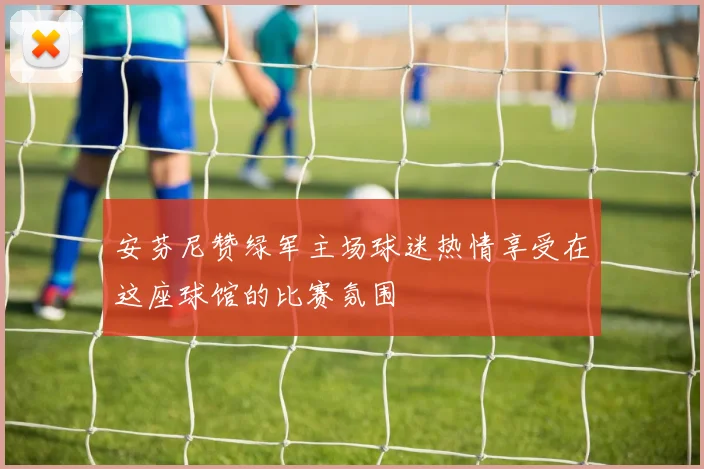 安芬尼赞绿军主场球迷热情享受在这座球馆的比赛氛围
