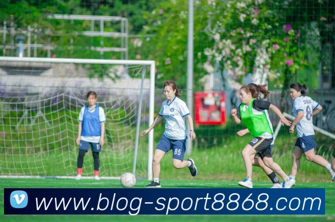 8868体育服务体系